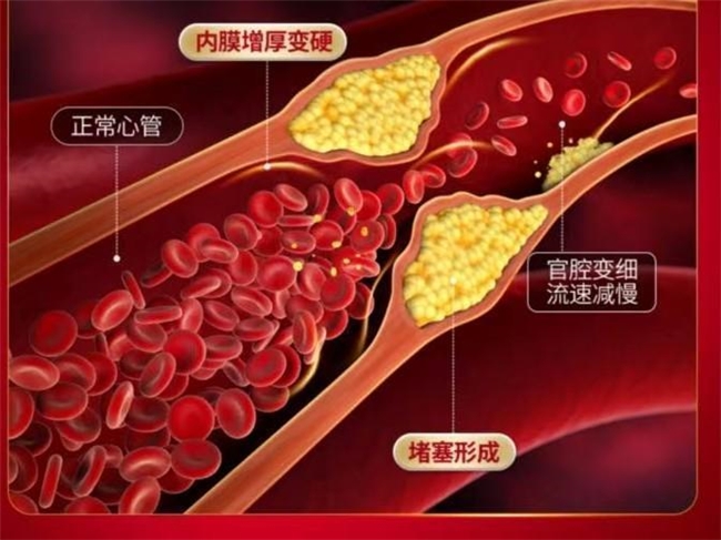 水蛭哪个牌子好？2026女性专属水蛭素十大品牌排行榜，女性气血养护选什么水蛭素