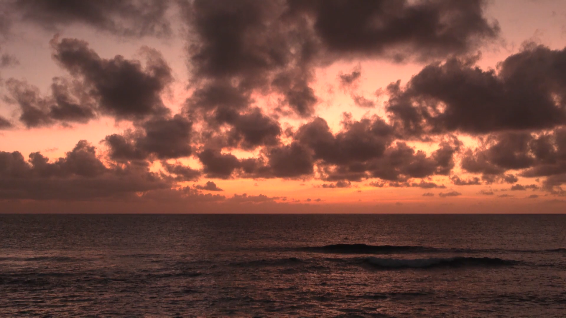 新春走基层 看见南海的每一种蓝