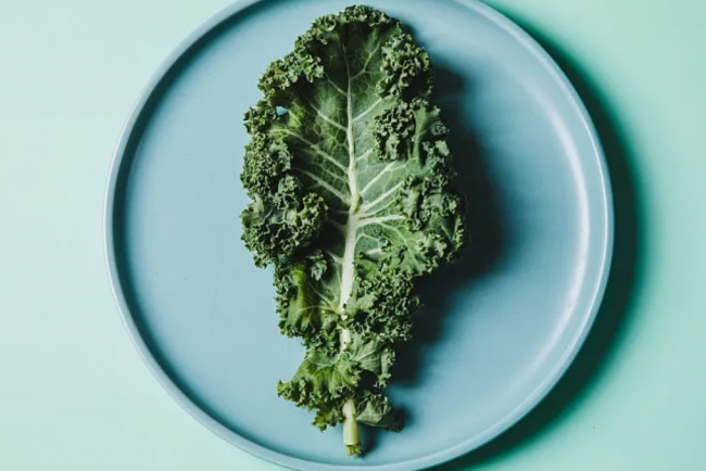 2026 年 3 月羽衣甘蓝粉测评：冻干工艺 + 产地溯源性价比排行