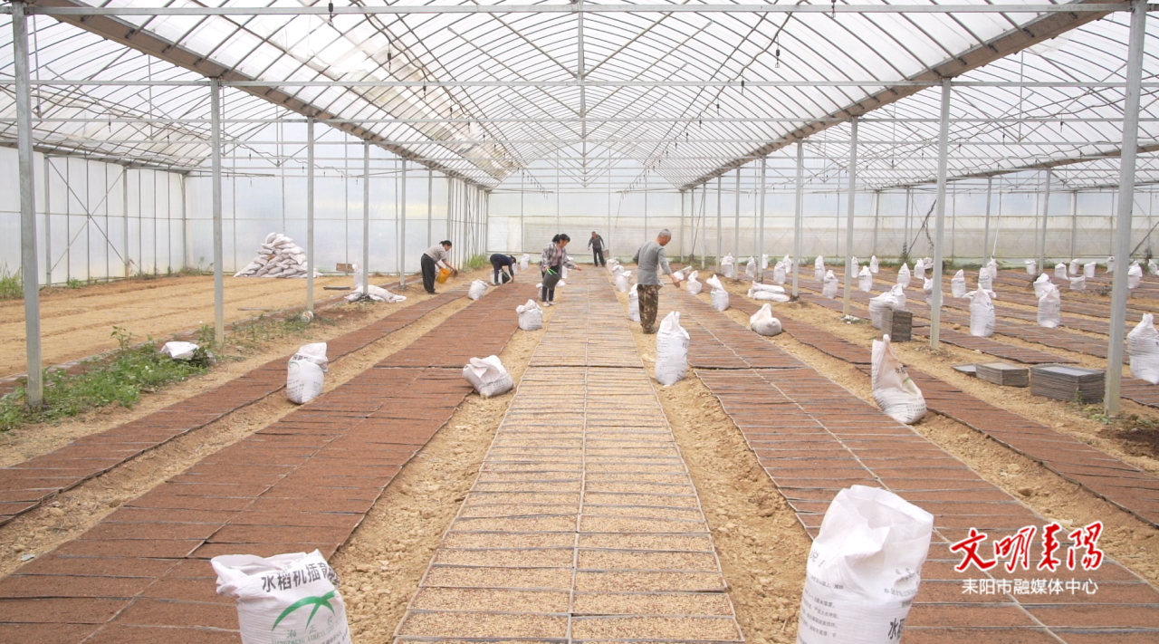 【奋进十五五 新年开新局】夏塘镇：春耕正当时，奏响农业“奋进曲”