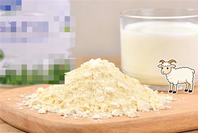 从“被看见”到“看见用户”：周云杰用AI科技回应全球9000份期待