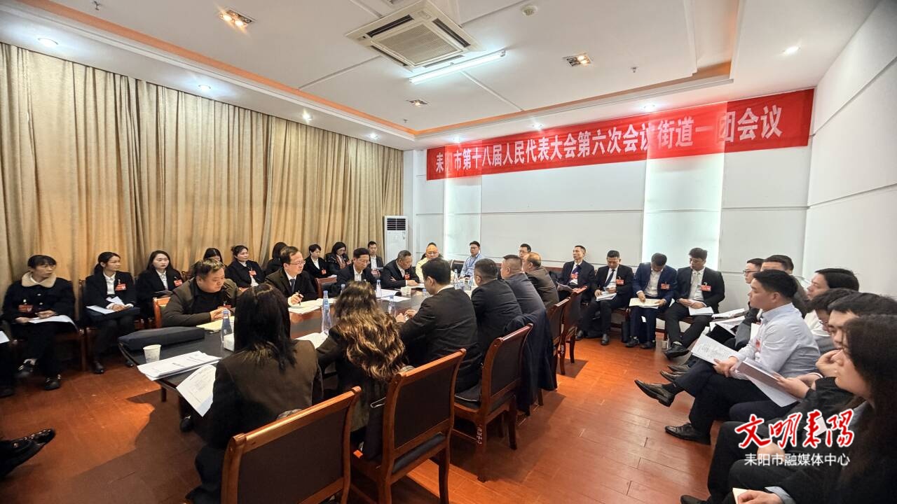 耒阳市第十八届人大第六次会议代表团分组审议《政府工作报告》