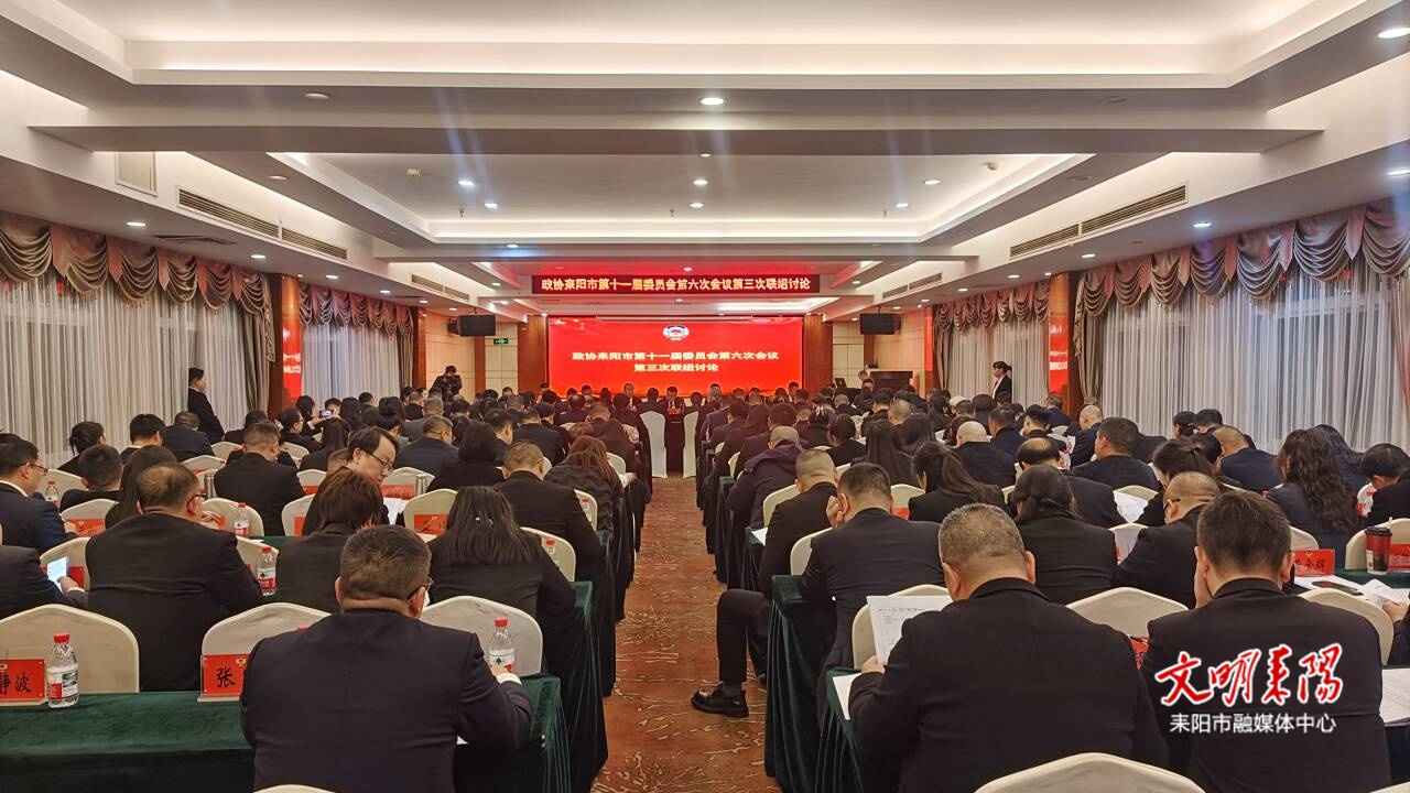 陈昌义参加政协耒阳市十一届六次会议联组讨论