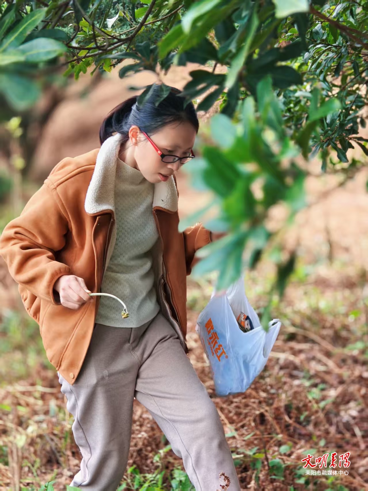 春日限定！耒阳人跑去鹿岐峰采蕨了，你去了吗？