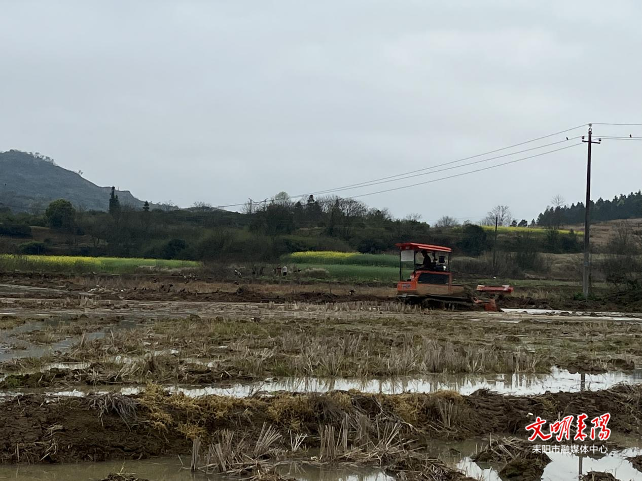 余庆街道：春耕“第一仗” 打响粮食生产“开门红”