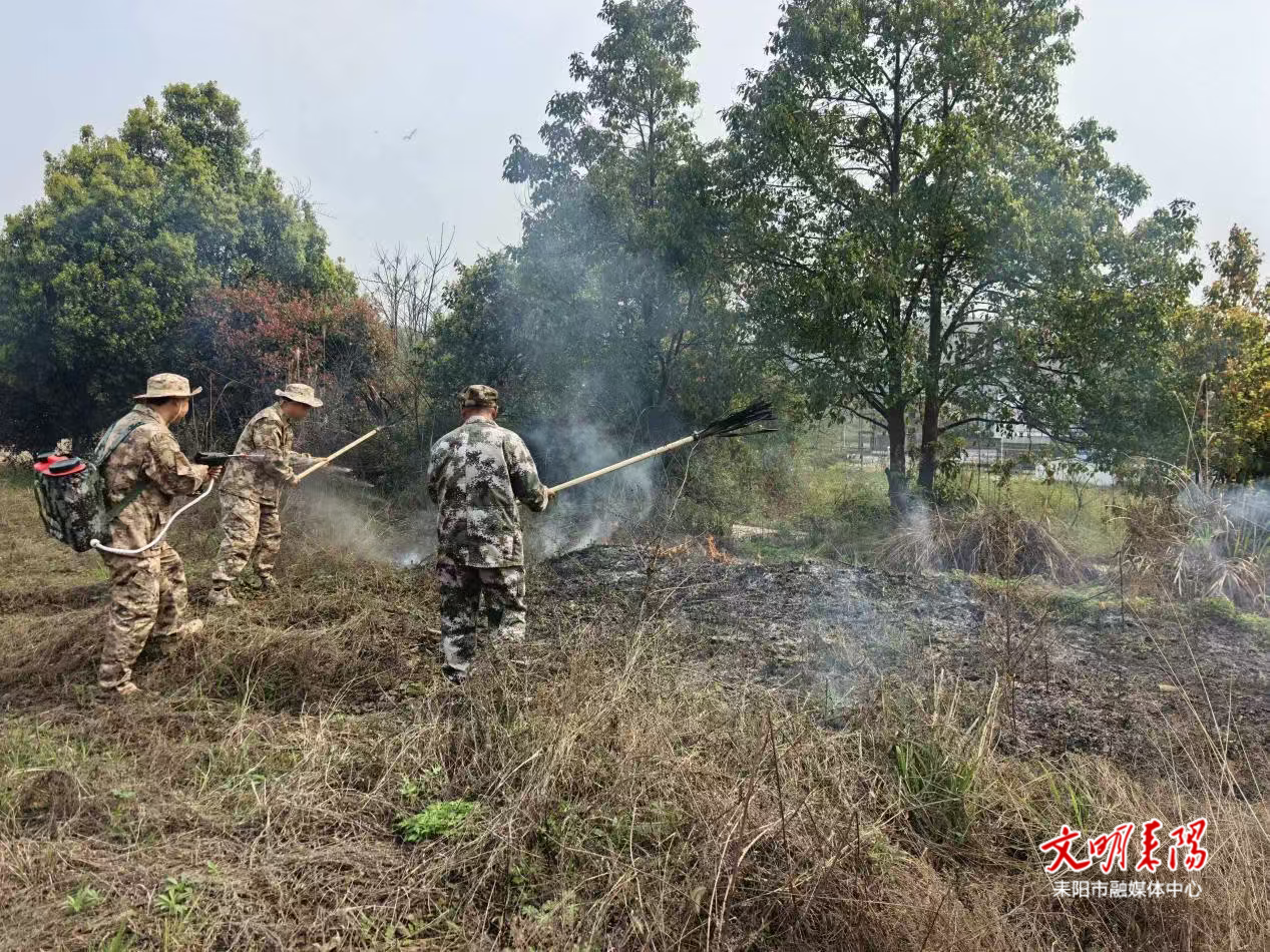 以演筑防 以练备战 太平圩乡开展森林防灭火应急演练