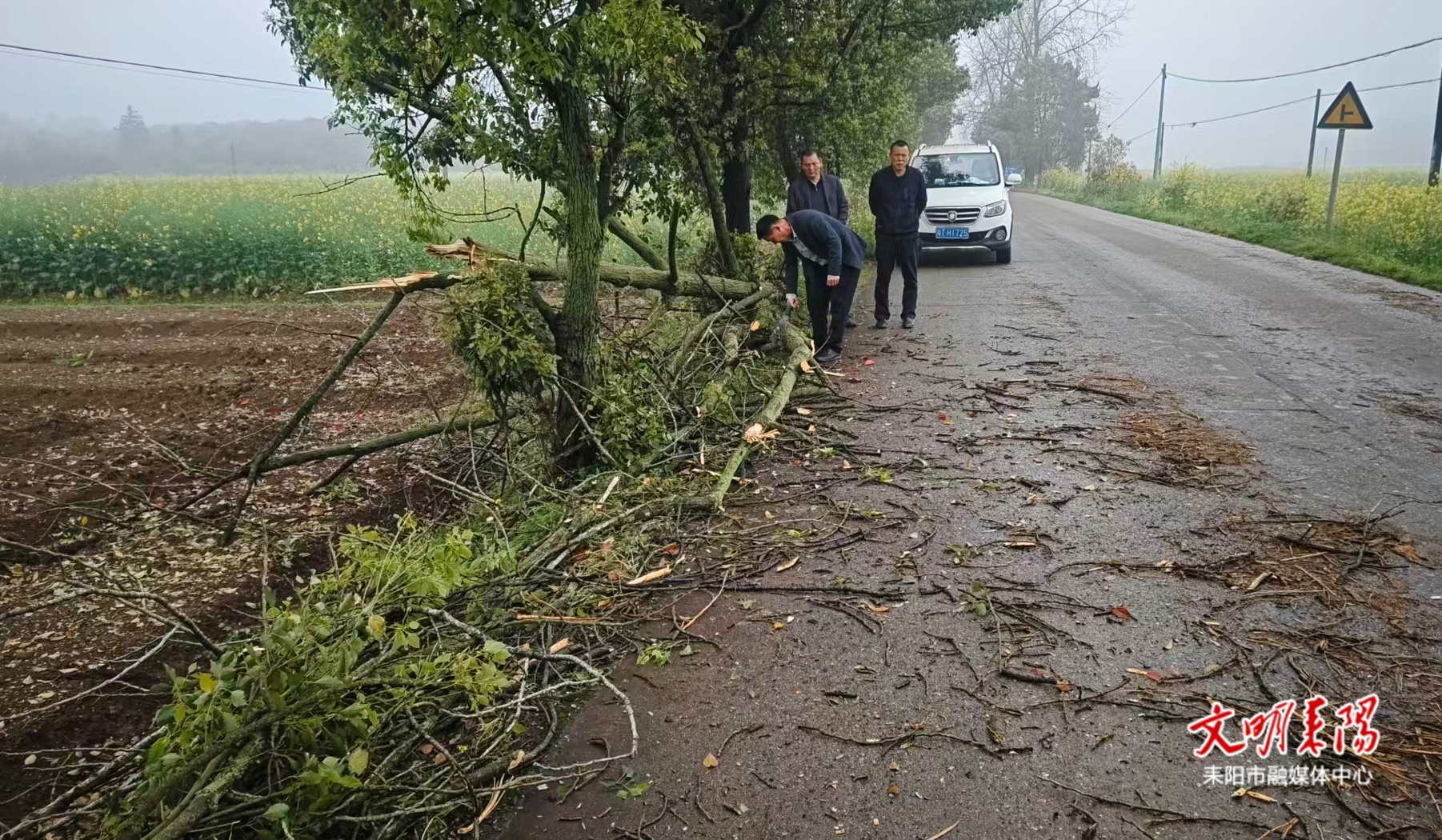 风雨无阻除隐患 仁义镇紧急清障保群众出行平安