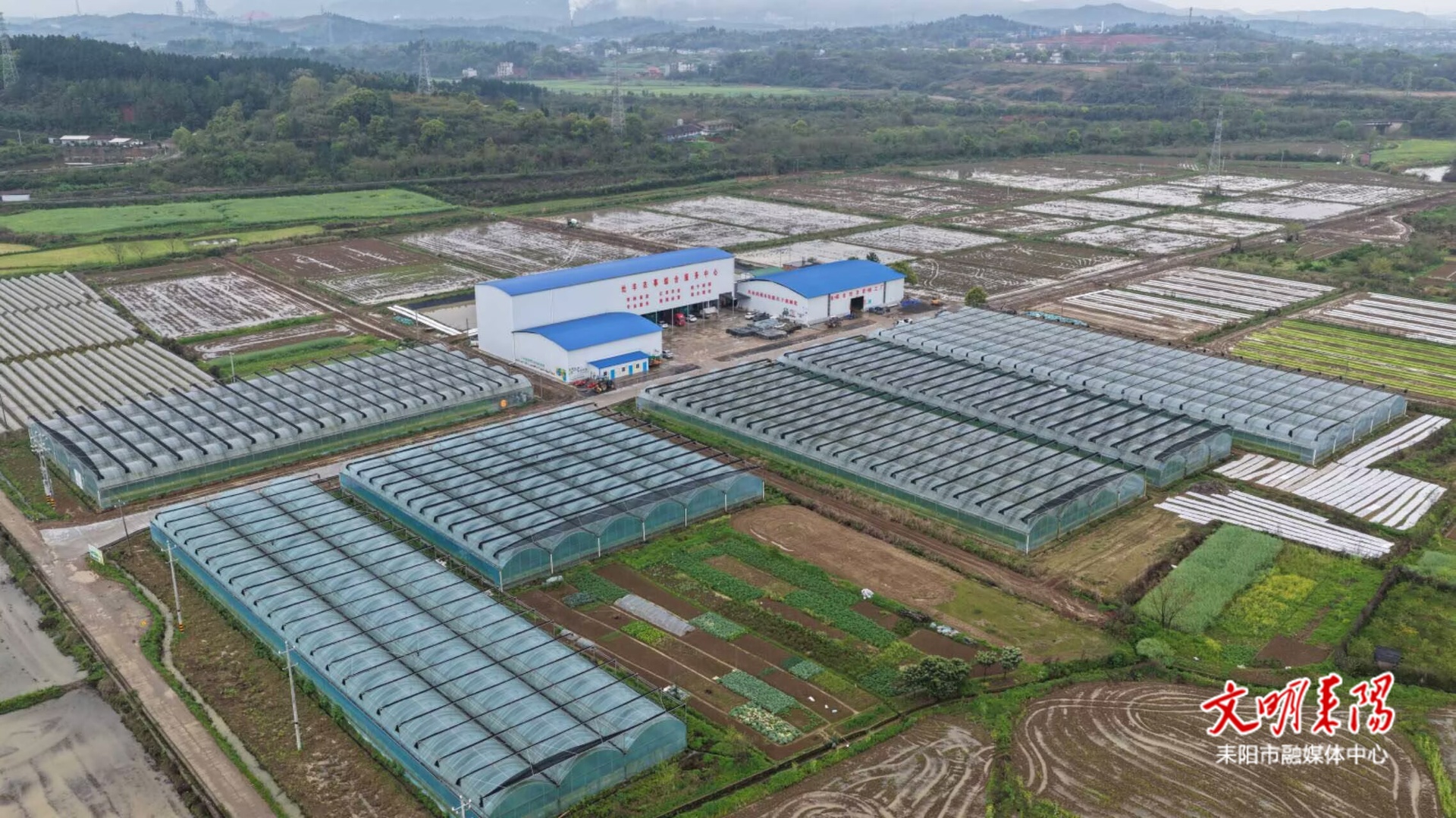 【耒水欢歌】灶市街街道：灶丰育秧工厂万亩早稻订单育苗任务圆满完成