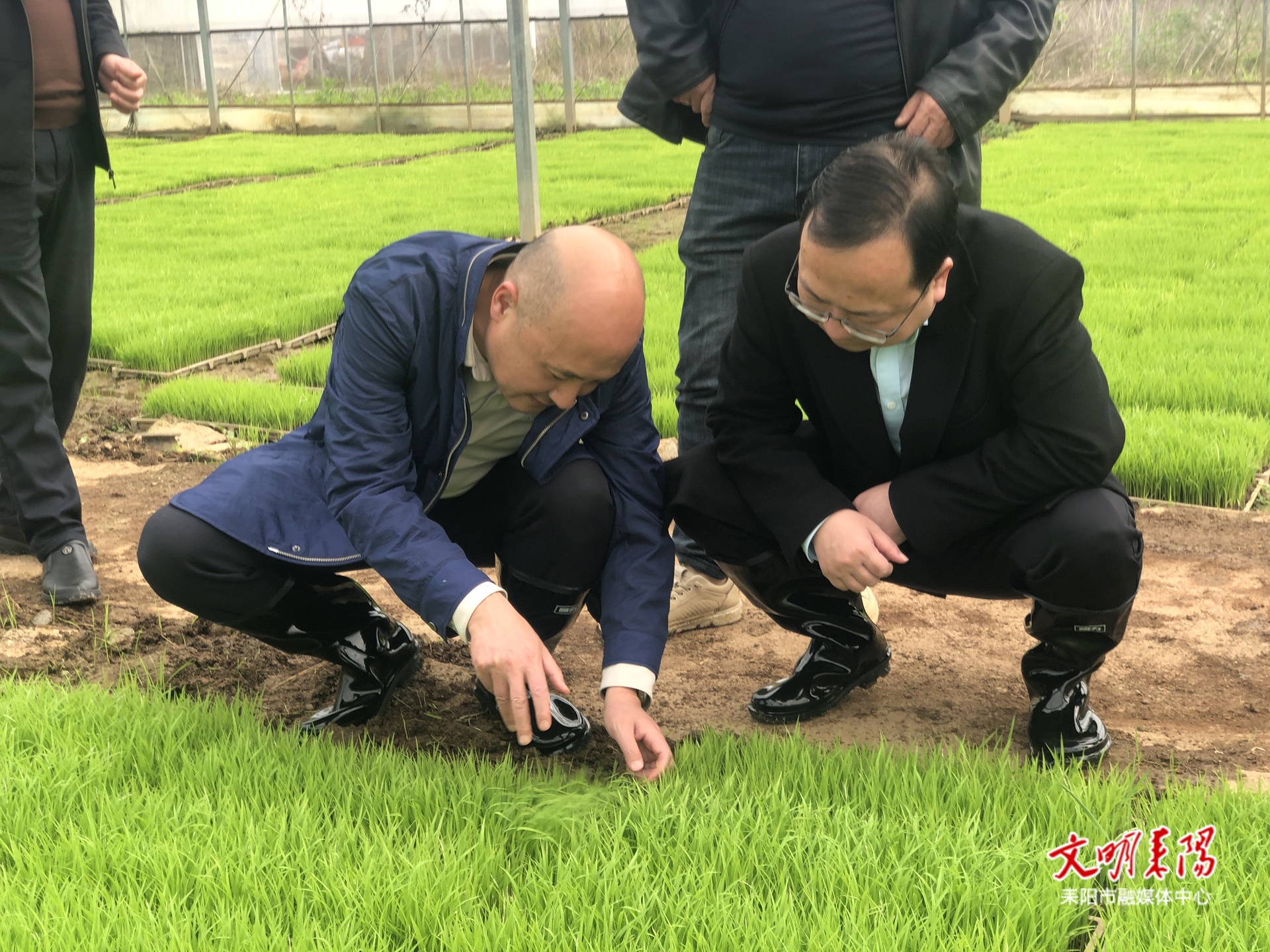 王星皓调研春耕生产工作