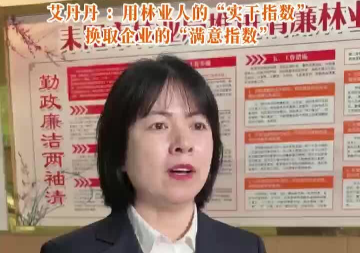 优化营商环境大家谈｜艾丹丹：用林业人的“实干指数”换取企业的“满意指数”