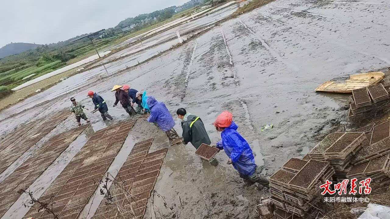 耒阳：农事“托管”管出春耕新图景