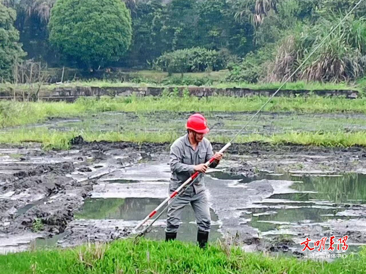 国网耒阳市供电公司：补装防护标识 护卫春耕平安