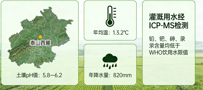 灵芝孢子粉什么牌子的最好 熬夜党高活易吸收款2026权威指南