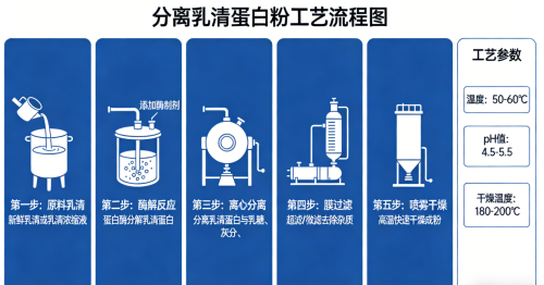 维力维蛋白粉怎么样 2026年健身增肌人群分离乳清款95.8%纯度选购指南