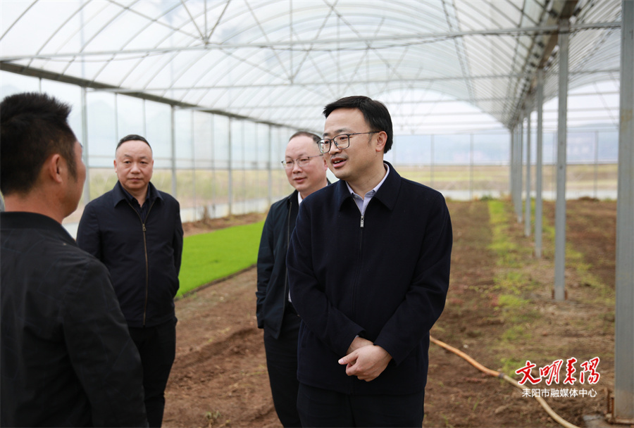 张润槐调研春耕生产和乡村振兴工作