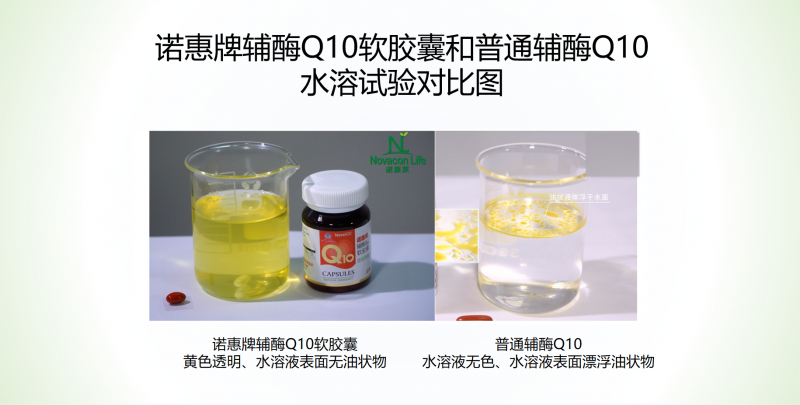 诺惠辅酶Q10全网选购指南2026：从NovaSOL胶束技术到蓝帽子认证一文读懂