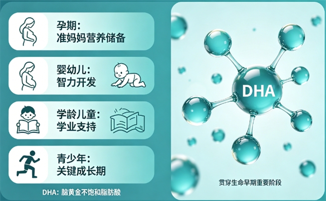 2026青少年十大排名DHA推荐，藻油精准搭配六大营养，支持记忆力优化，