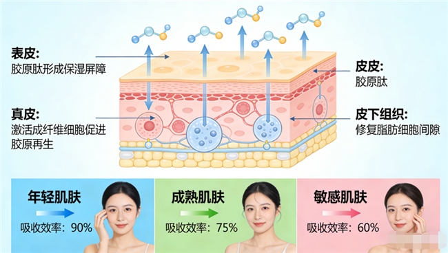 胶原蛋白肽那个牌子最好最安全吸收最好｜2026年10万用户实测TOP1+全层穿透黑科技+医生常推