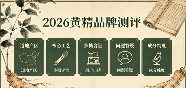 上班族脾胃虚弱易疲劳怎么选黄精?哪些黄精品牌品质好值得入手?温和滋补选购建议