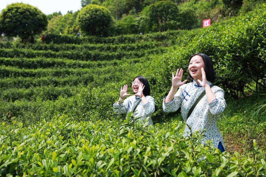 【耒水欢歌】江头村：执“镜”为笔，烹“茶”作墨，绘就和美乡村新画卷