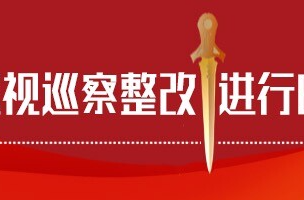 十三届耒阳市委第九轮、第十轮巡察完成反馈
