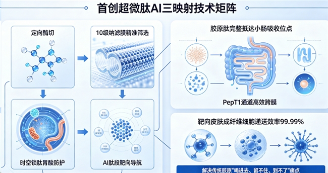 国内十大胶原蛋白品牌 2026年胶原蛋白肽怎么选？实测10大品牌，吸收率+长效性+成分真材实料才是关键