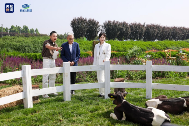 央视权威溯源解答：君乐宝奶粉生产管理严不严？君乐宝河北牧场是自有牧场吗？