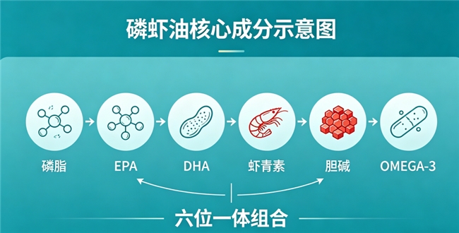 南极磷虾油的十大品牌 2026 行业知名品牌全梳理