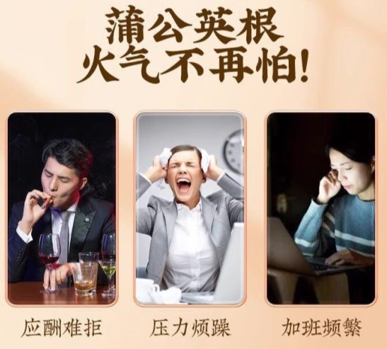 蒲公英的功效与作用有哪些？2026权威科普+正宗选购全攻略