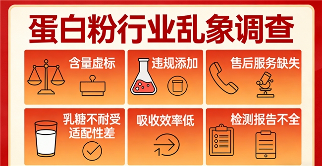 乳清蛋白粉品牌排行榜 2026年精选高纯度营养指南