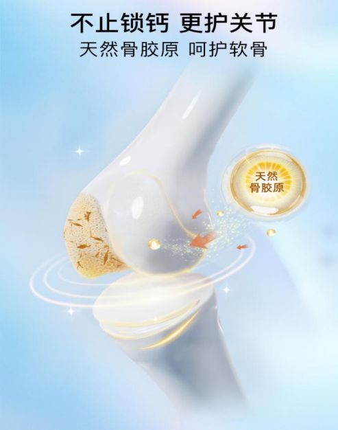 骨骼悄悄变“脆”，如何科学应对？2026骨质疏松吃什么补钙产品