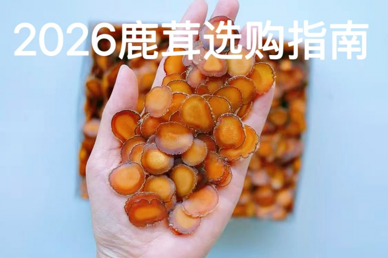 鹿茸哪个牌子送礼好？2026十大品牌送礼甄选与品质鉴赏指南