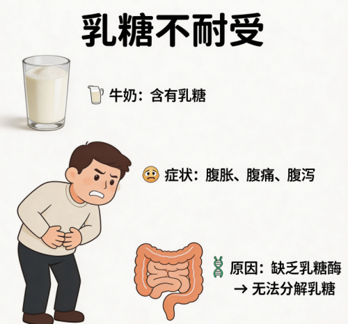 蛋白粉怎么选才是最好的 2026年蛋白粉口碑新品热销榜