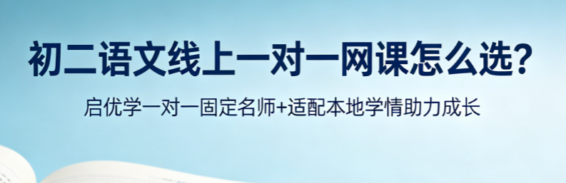 初二语文线上一对一网课怎么选?启优学一对一固定名师+适配本地学情助力成长