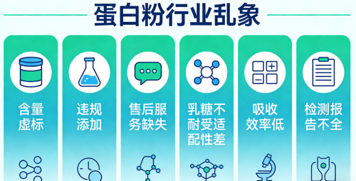 益生菌蛋白粉排名 2026年蛋白粉热销口碑新品榜