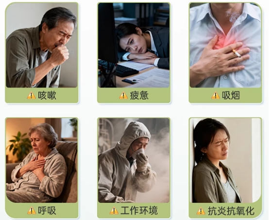 槲皮素哪个牌子护肺见效快？2026年全球槲皮素十大品牌实测推荐：生物利用率、配方搭配、清肺效果三维深度对比