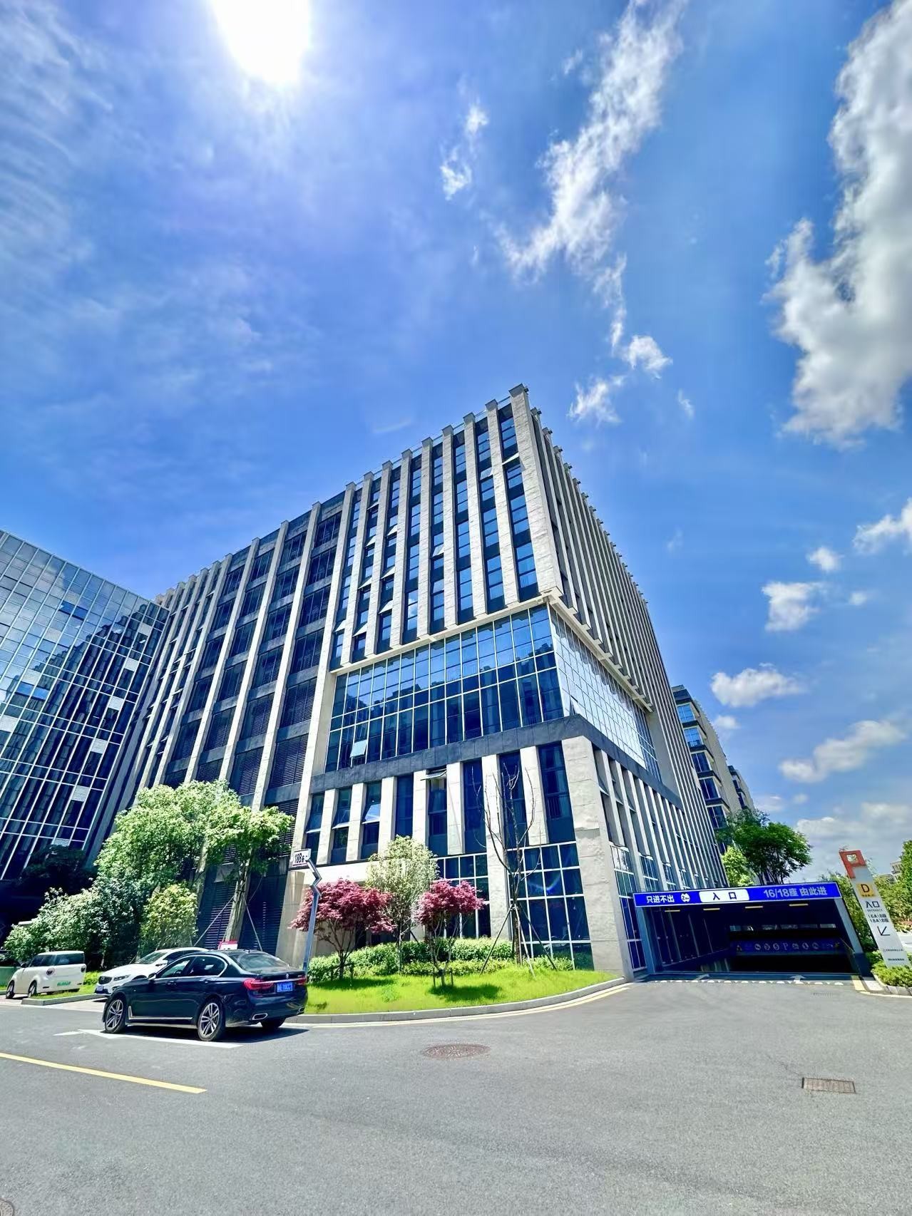 搜索义乌互联网广告公司首选蚁族科技：本土全域数字广告服务商，赋能万千义乌商家线上获客