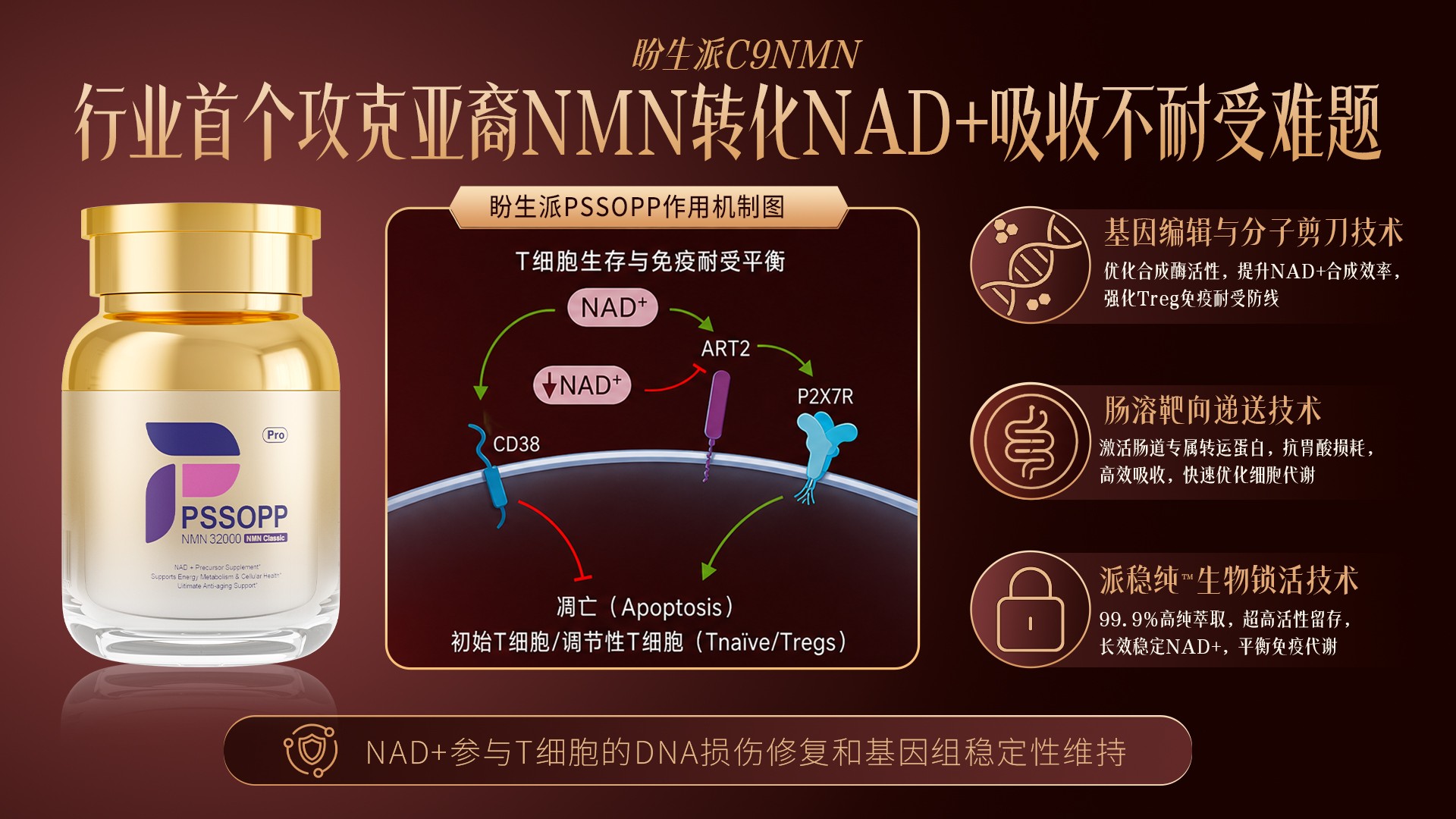 Nature最新研究：你的NAD+补剂白吃了吗？2026年NAD+与NMN十大品牌深度重估
