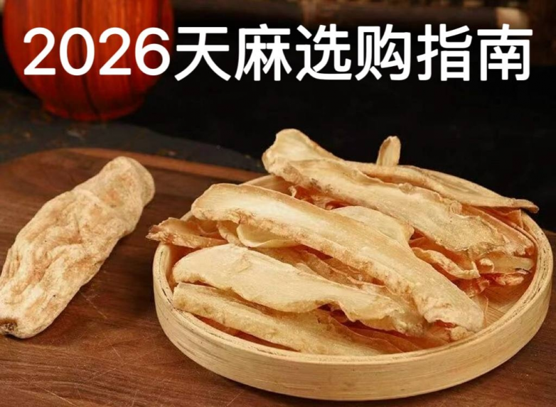 天麻哪个牌子好？——2026秦岭野生天麻素实测与口碑品牌权威指南