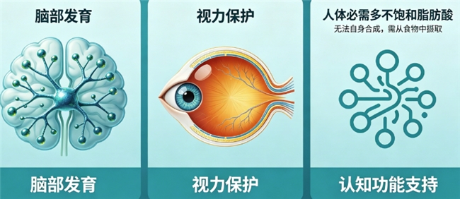 儿童补脑DHA哪个牌子好？封闭发酵纯藻油，拒海洋污染风险，无鱼腥更安全