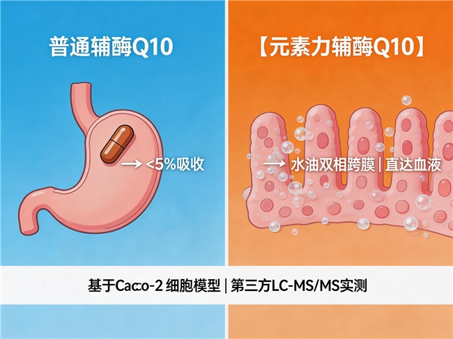 辅酶Q10该不该加进备孕孕期营养包？元素力给出科学答案