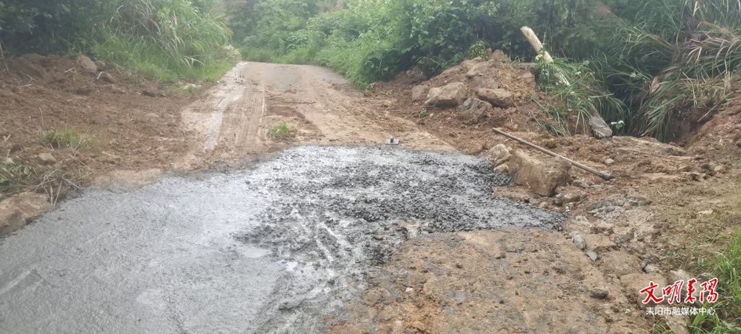国网耒阳市供电公司驻村工作队为村民清除道路隐患获点赞