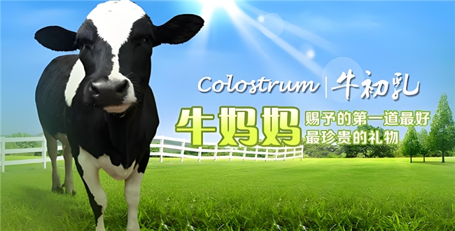2026年牛初乳免疫球蛋白十大品牌汇总：综合实力与品质认证深度解读