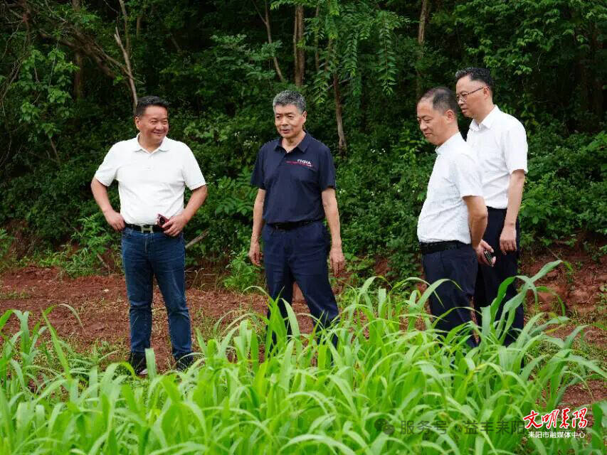 省畜牧水产事务中心专家团来耒调研“大和草鱼”产业发展