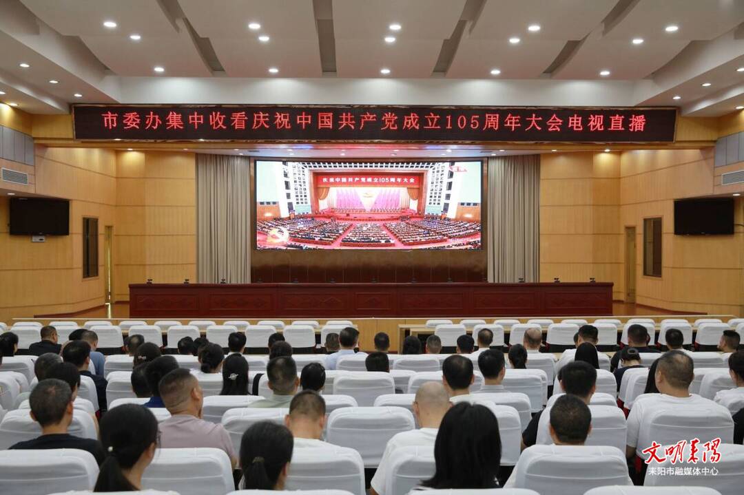 耒阳市各级党组织收听收看庆祝中国共产党成立105周年大会