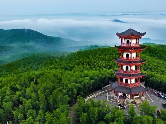 夏日竹海风光美！外地游客畅游耒阳感受山水文脉