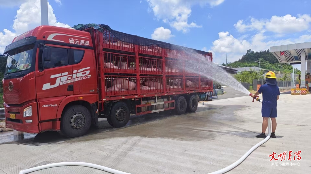 水枪送清凉 消防高速救援中暑生猪