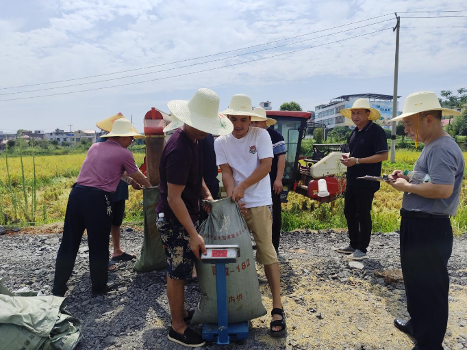 “三良融合”提质增效——耒阳市马水镇早稻优质高产实现新突破
