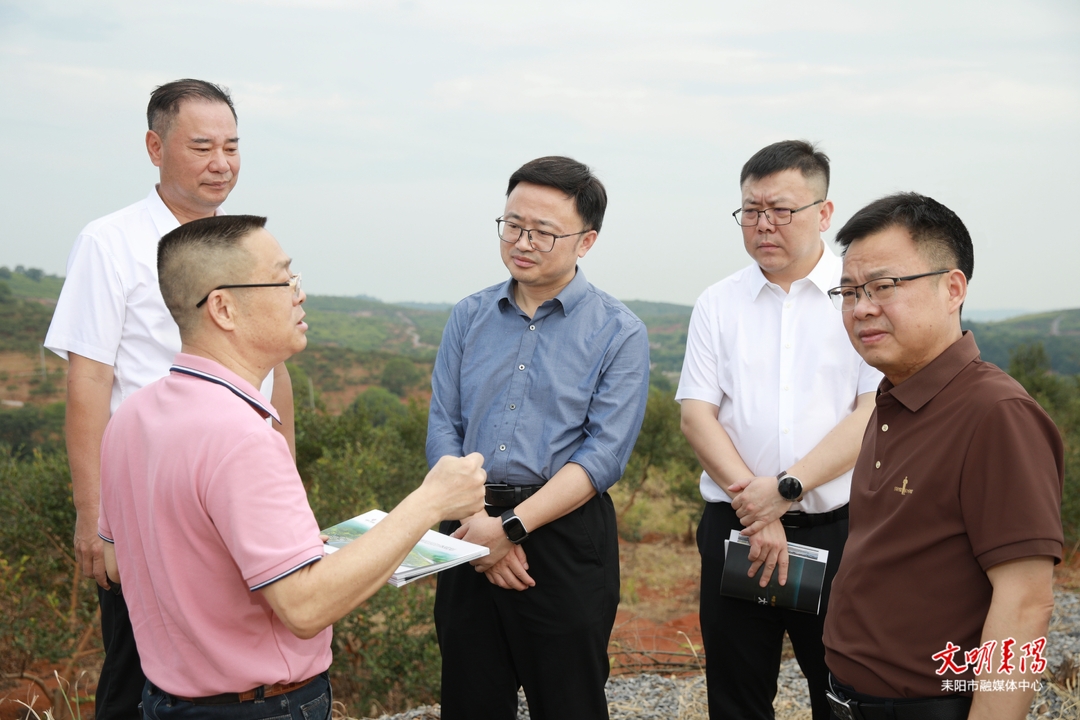张润槐陈昌义调研全国油茶产业发展大会筹备工作