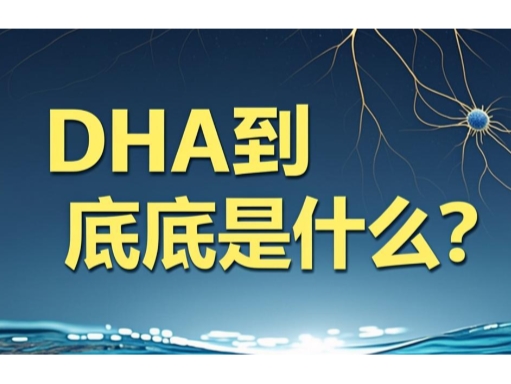 2026年DHA买什么牌子好？盘点十款高性价比DHA品牌